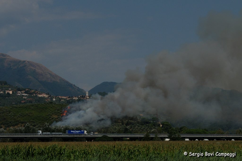 Incendio vicino le case, intervengono i pompieri