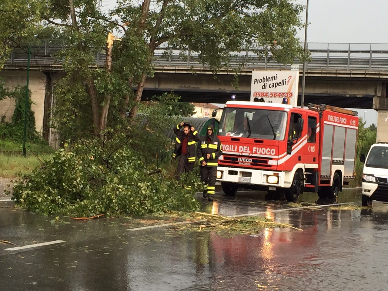 Maltempo, danni e disagi: Cadono Alberi e Rami su Strade e Binari