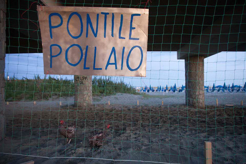 Un pollaio sotto il pontile di Tonfano