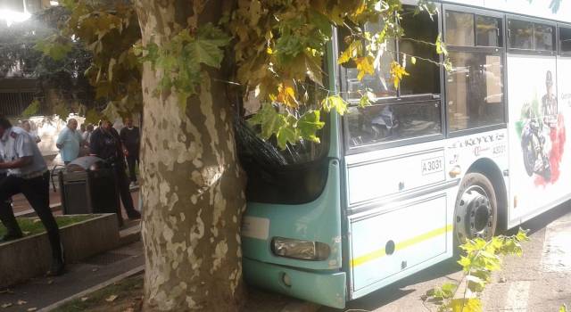 Malore autista e autobus contro un albero. &#8220;Deterioramento delle condizioni di vita e di lavoro dei tranvieri&#8221;