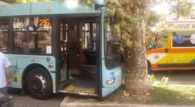 Malore per l&#8217;autista, bus contro un albero