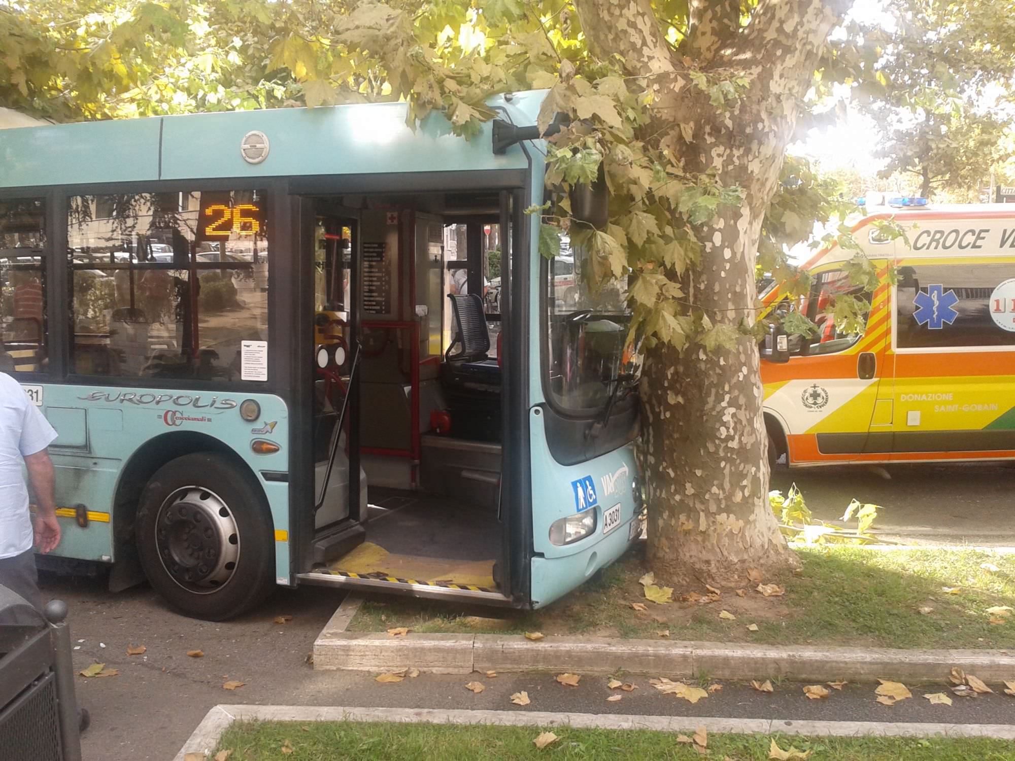 Malore per l’autista, bus contro un albero