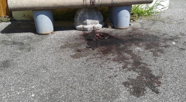 Giallo in via Coppino. Sangue per terra e su una panchina accanto all&#8217;ex pesa pubblica