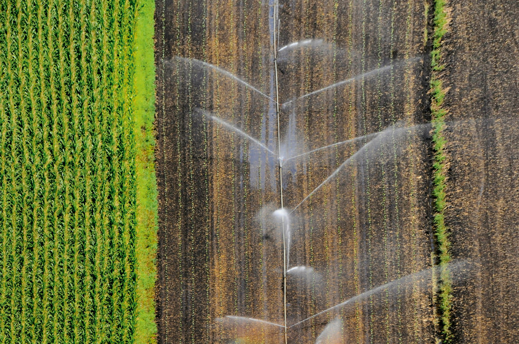 Cia Versilia: l’agricoltura vero presidio per la sicurezza del territorio