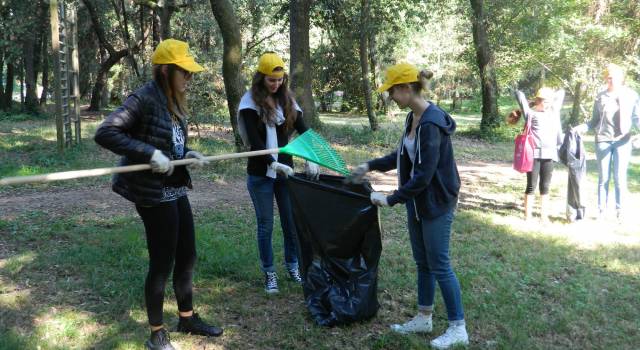 Volontari e studenti ripuliscono la pineta di Ponente