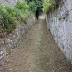 Foto Via Accesso Rocca di Sala Manutenzione Verde Pietrasanta