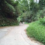 Ancora chiusa la strada per Chiatri, una frana ne blocca l'accesso da mesi 2 foto Pomella