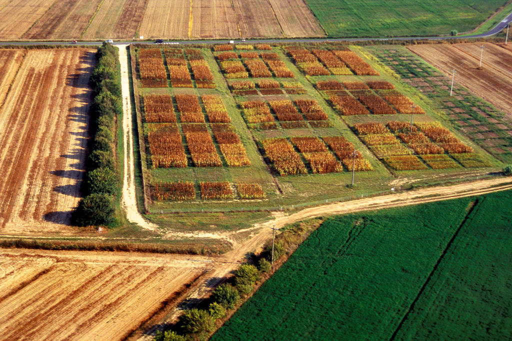 Agricoltura, dopo l’Imu via anche l’Irpef