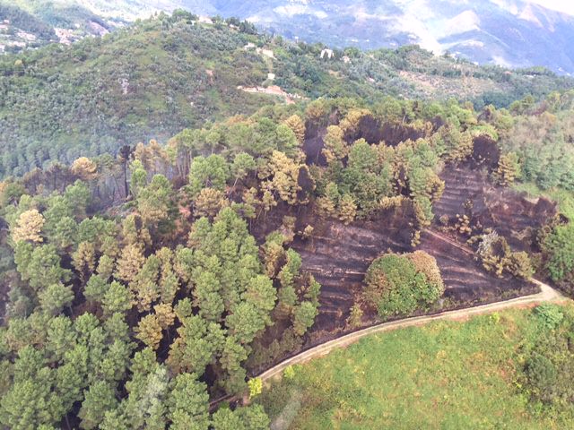 La collina devastata dall’incendio – fotogallery