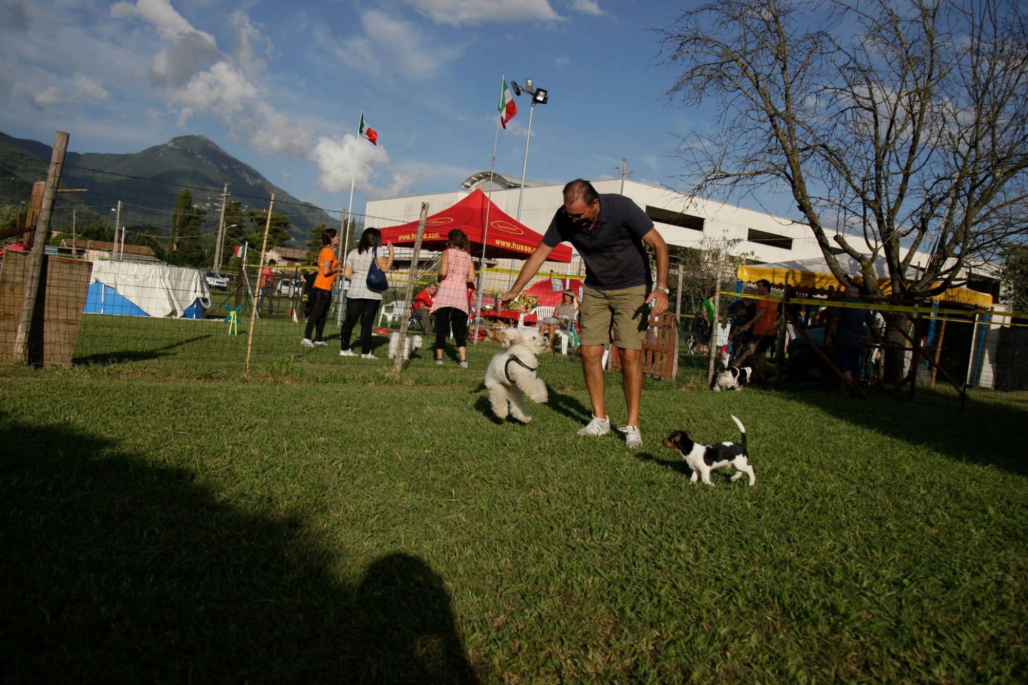 Successo per la Giornata del Cucciolo a El Perro Loco