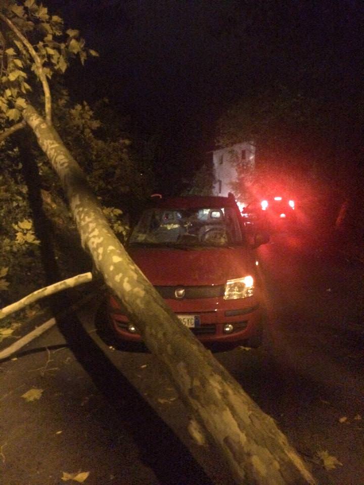 “Siamo vivi per miracolo”, incidente nella notte a Stiava (foto)