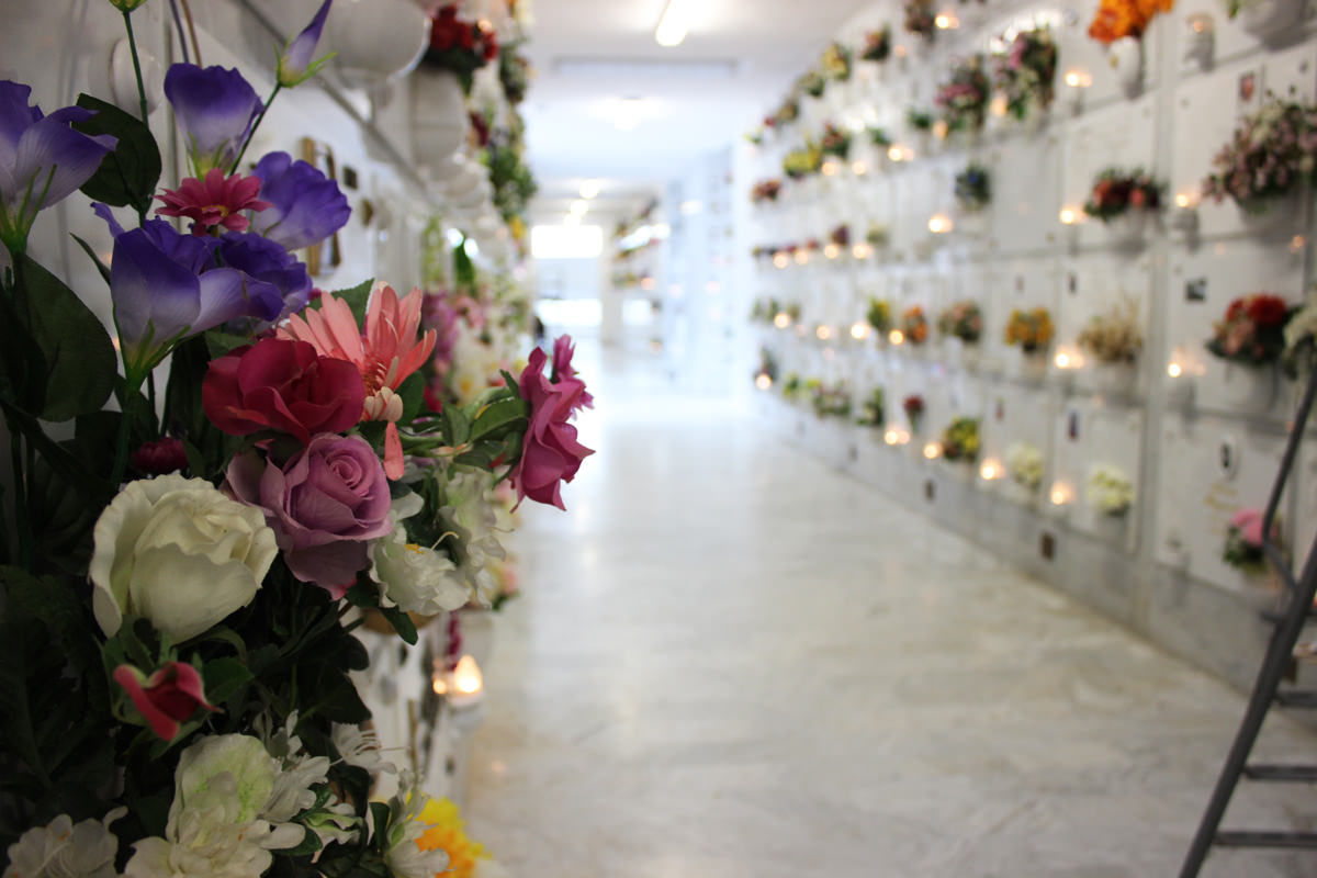 Furti seriali al cimitero: denunciata un’anziana donna