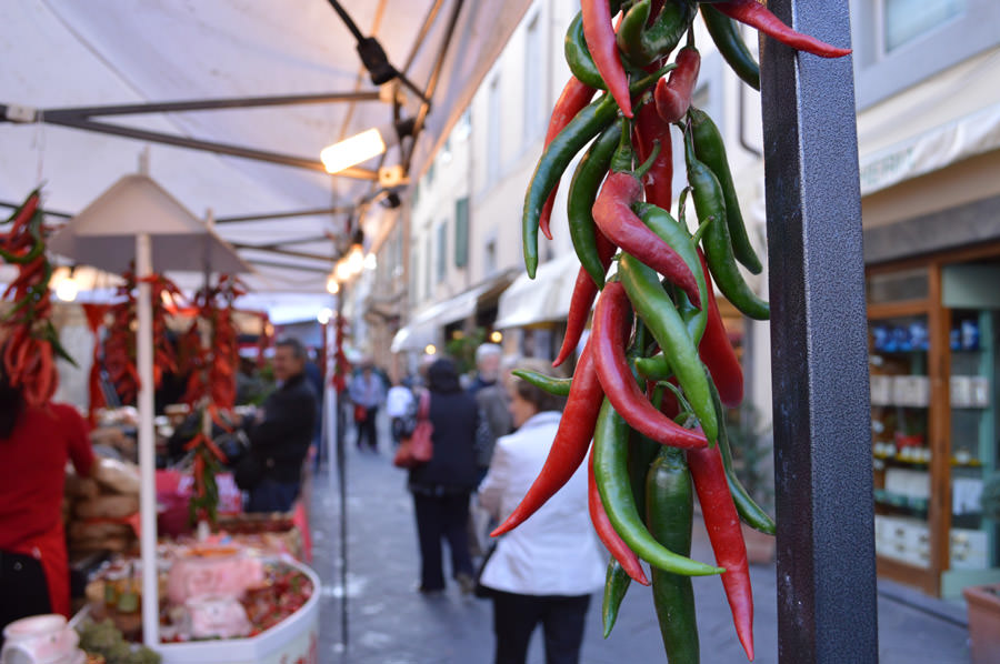 Festa Pic a Camaiore, c’è anche la Cia