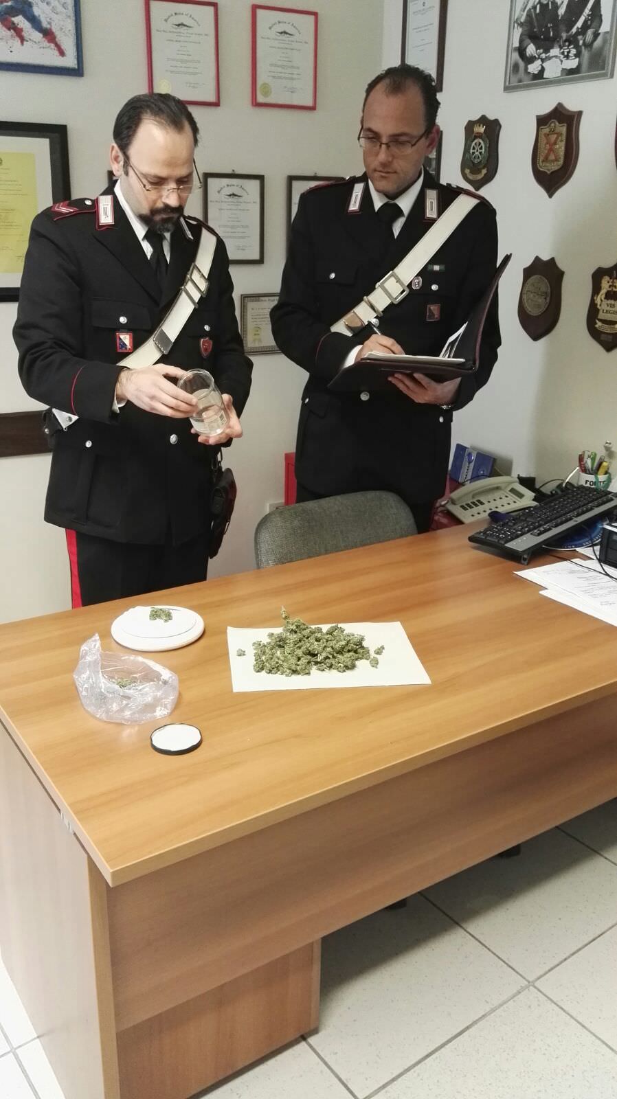 Marijuana nell’auto, denunciato un giovane a Viareggio