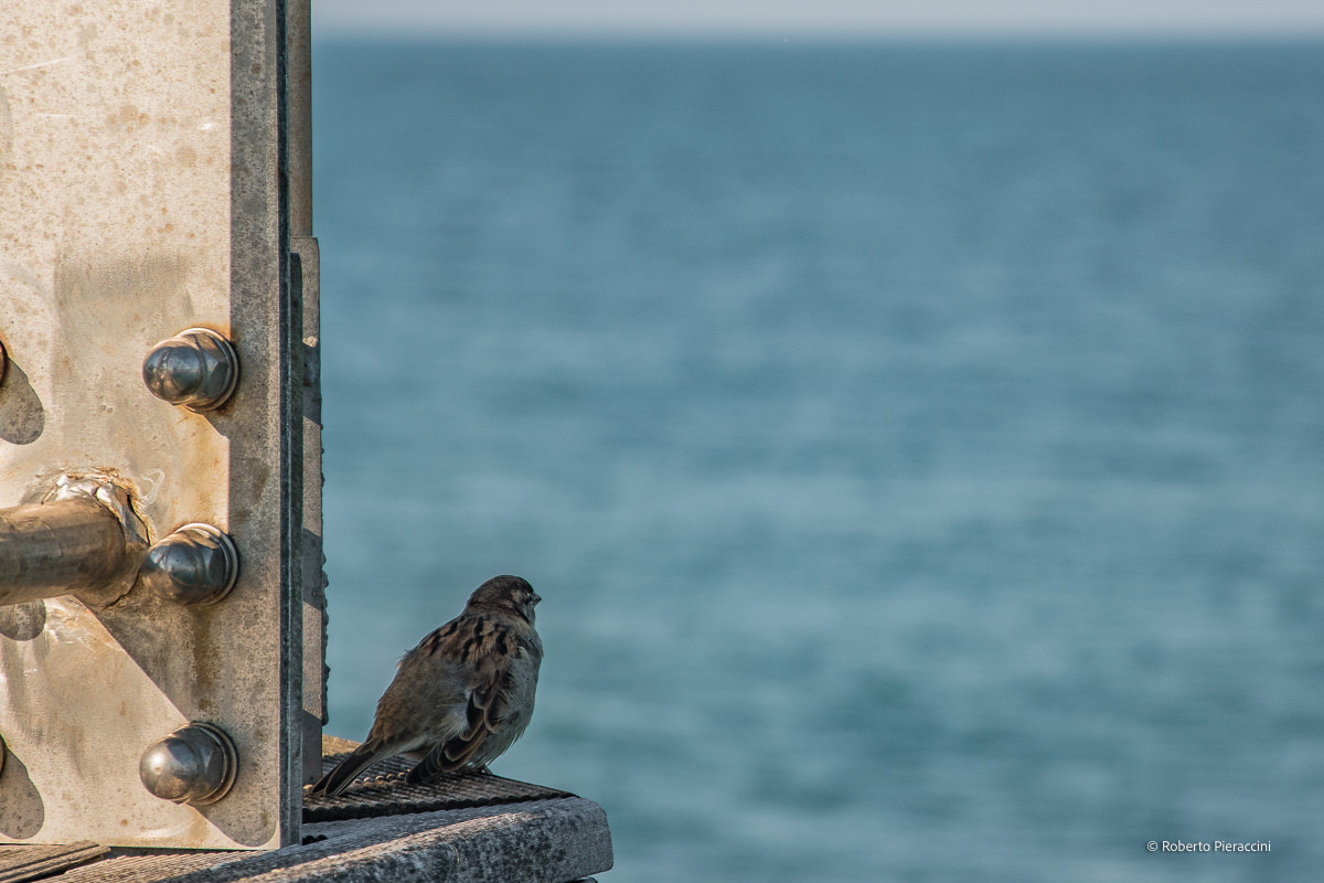 Uno sguardo verso il mare