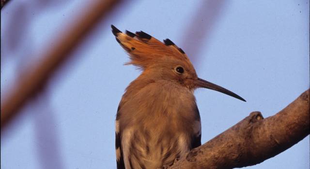 Parco, nasce l&#8217;albo delle guide ambientali escursionistiche