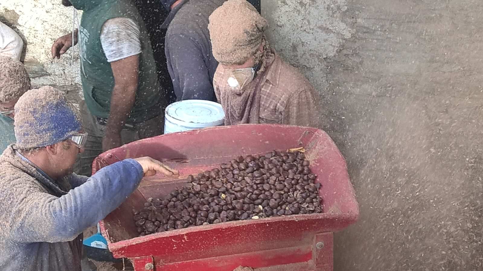 “Festa della Farina”, alla scoperta del sapore e del sapere di un antico mestiere