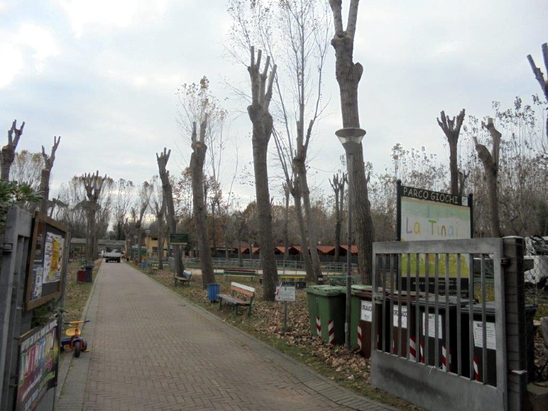 Verde e decoro urbano, Sea abbatte gli alberi pericolanti