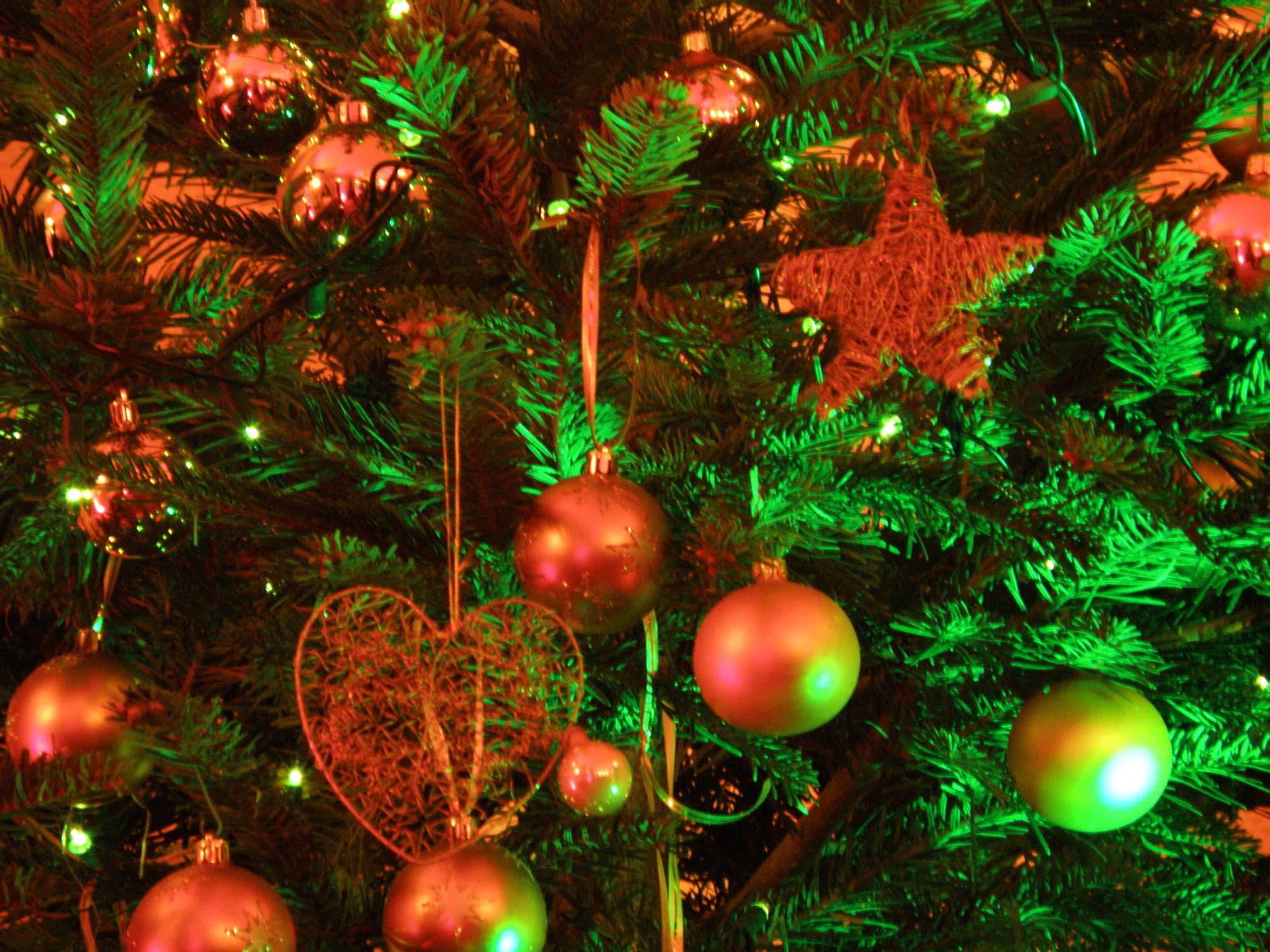 Albericiclo: un albero di Natale ecologico a Viareggio