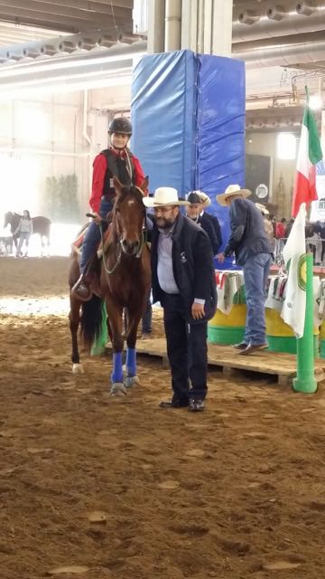 “Il Cavallo e Noi” al trofeo delle regioni di equitazione