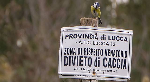 Accordo tra Toscana, Lazio e Umbria per i cacciatori &#8216;pendolari&#8217;