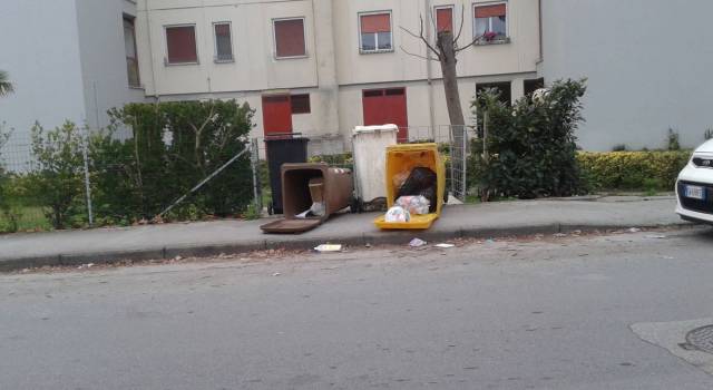 Cassonetti dei rifiuti ribaltati al Varignano