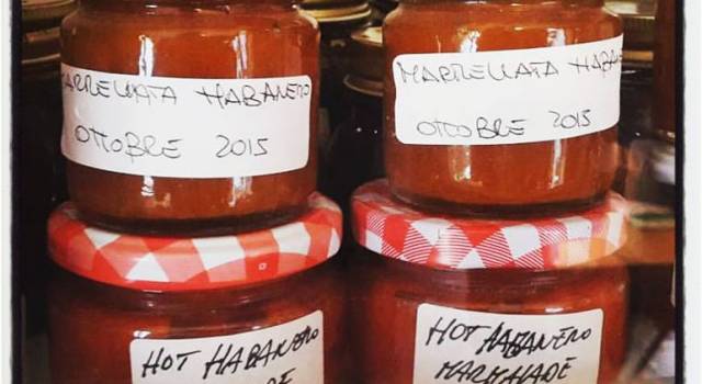 Marmellata di Habanero (e sue conseguenze sociali)