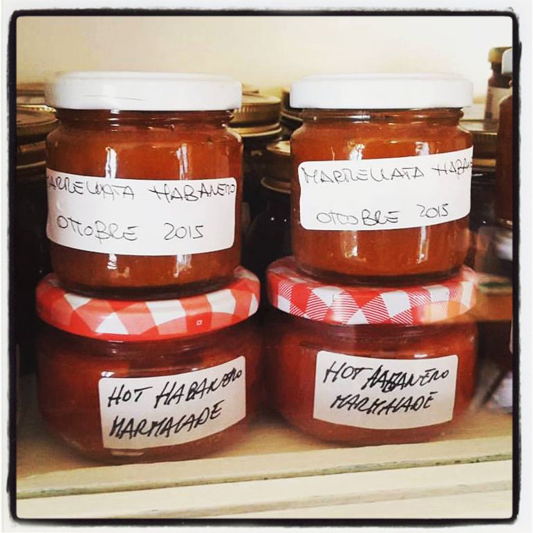 Marmellata di Habanero (e sue conseguenze sociali)