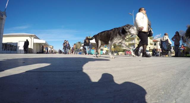 Lido di Camaiore, sequestro di borse false in passeggiata