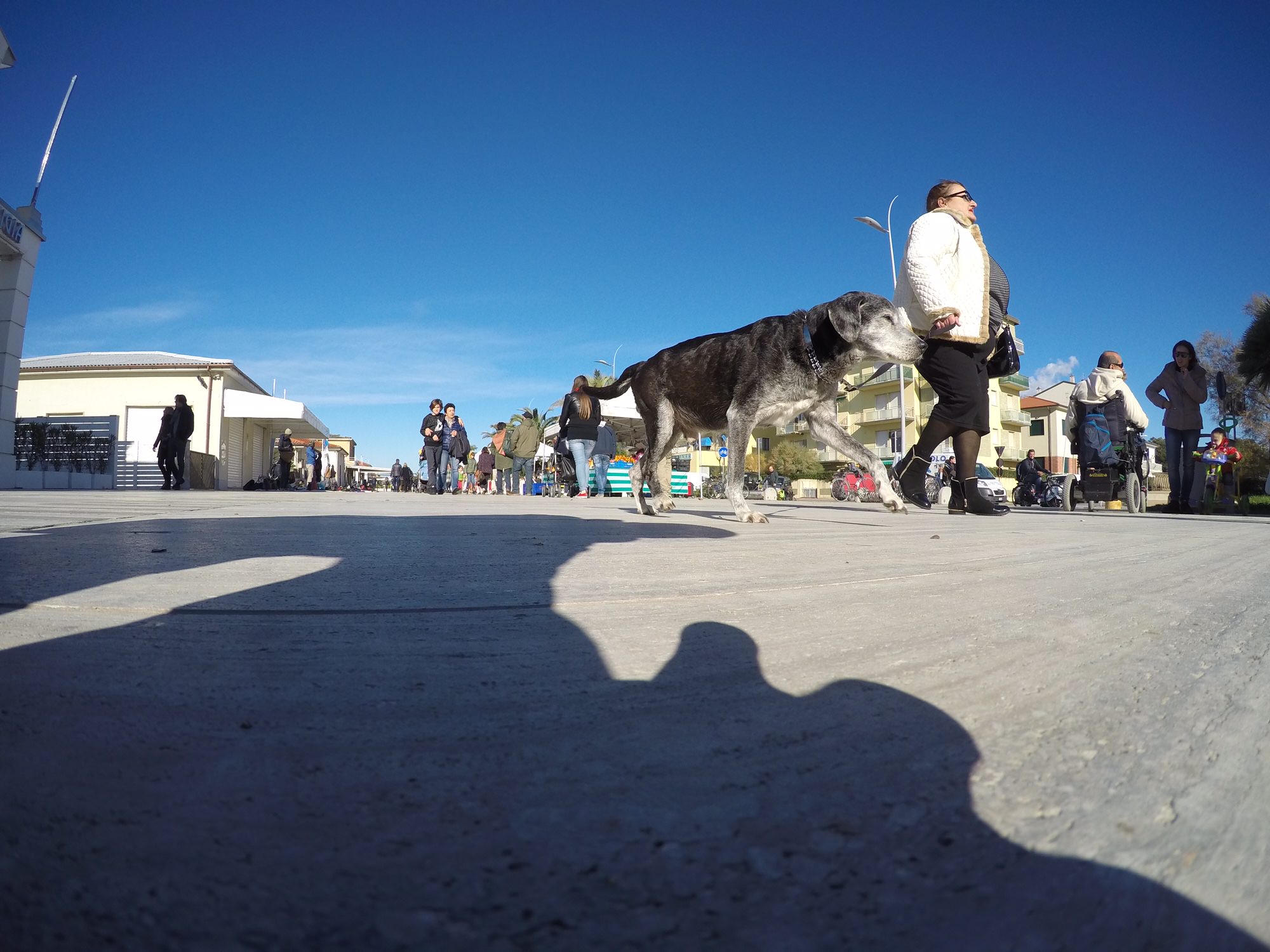 Costituito il nuovo Centro Commerciale Naturale Lido di Camaiore