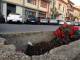 “Le fioriere a Viareggio? Un disastro”