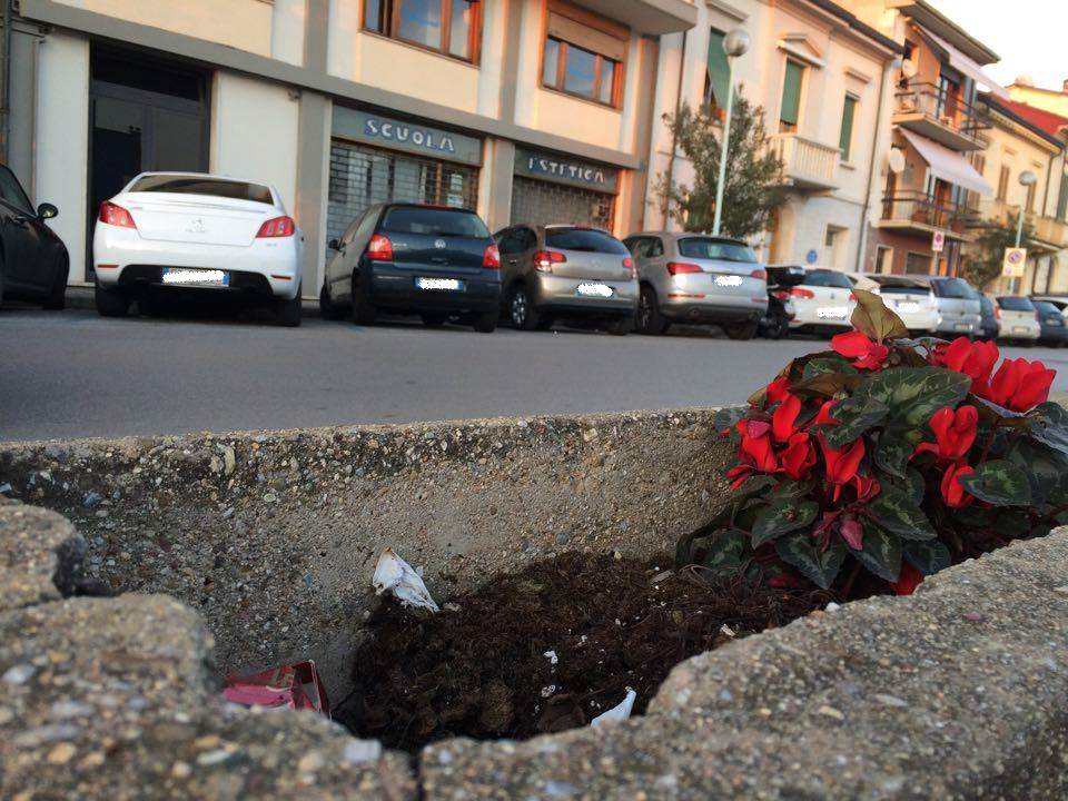 “Le fioriere a Viareggio? Un disastro”