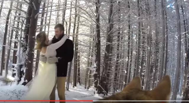 Un Meraviglioso Video di Matrimonio&#8230; girato da un Cane
