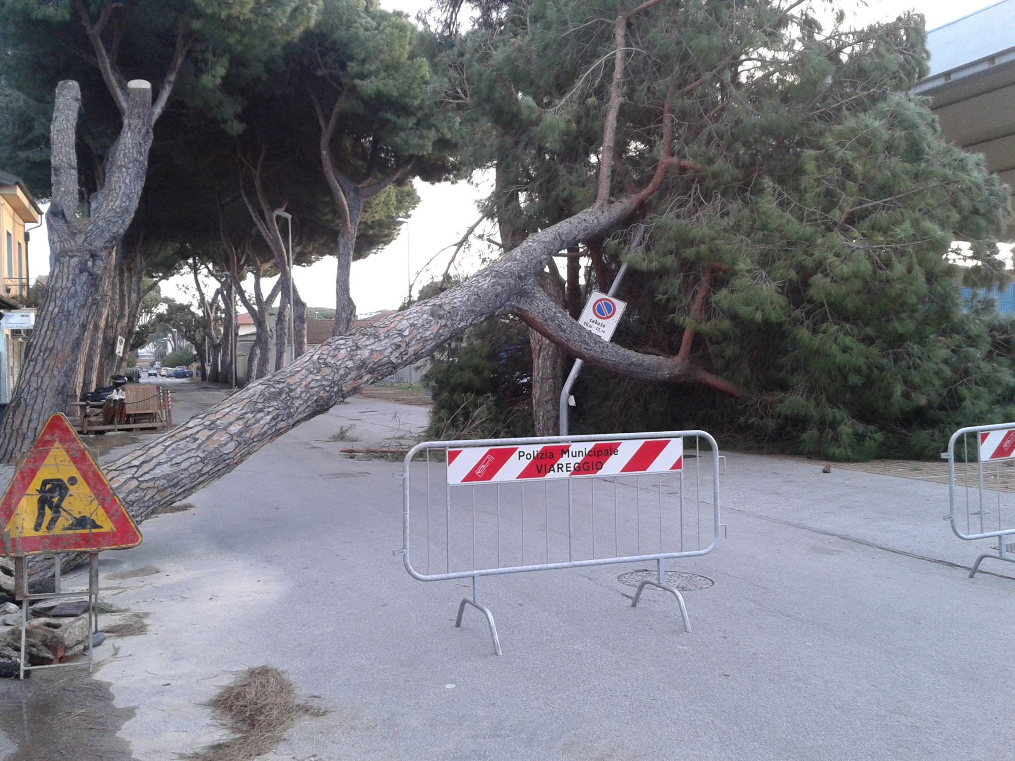 Allerta meteo per forte vento