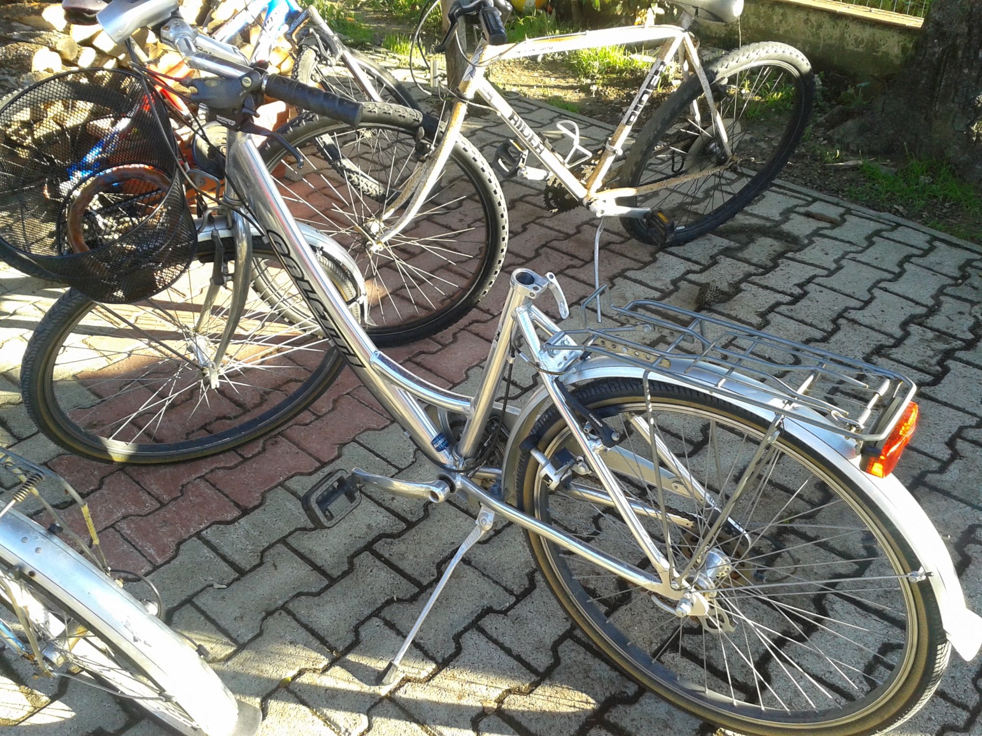 Ladri di biciclette in azione alla stazione di Lido