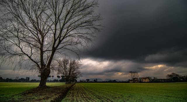 Temporali, agricoltura versiliese in affanno: i dati