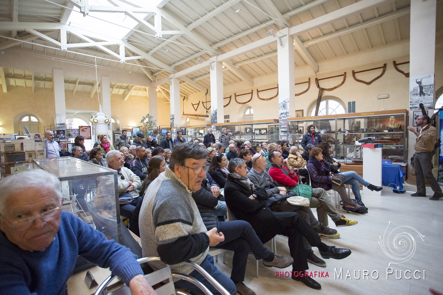 “Il Carnevale vien dal mare”, mostra al Museo della Marineria