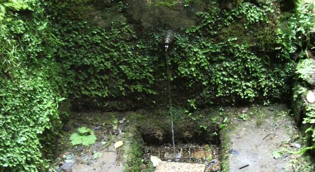 Acqua di ottima qualità per le sorgenti di Massarosa