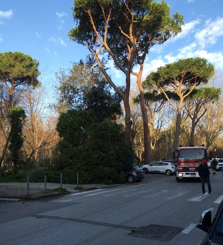 Maltempo, albero cade su un’auto; piegato il pennone con la Burlamacca