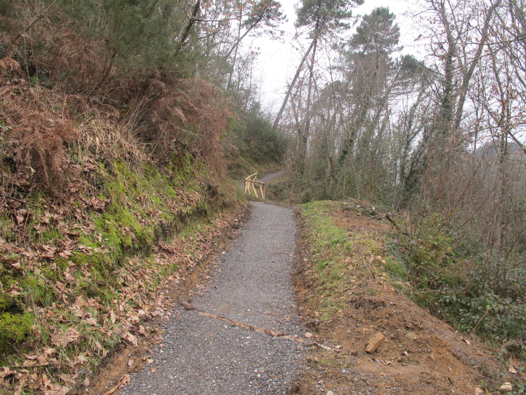 A marzo inaugurazione del tratto di via Francigena che passa da Massarosa