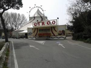 Rissa in strada davanti il circo 1 foto vt