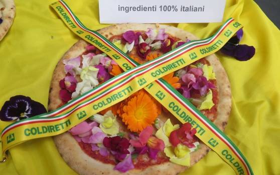 La Pizza Petalosa che fa impazzire il web realizzata con i fiori commestibili di Carmazzi