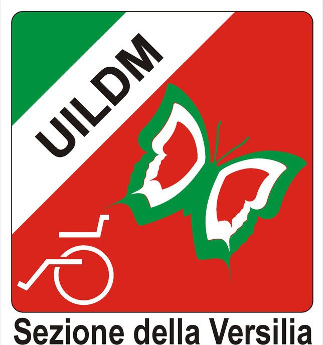 Asta benefica con gli amici della Uildm