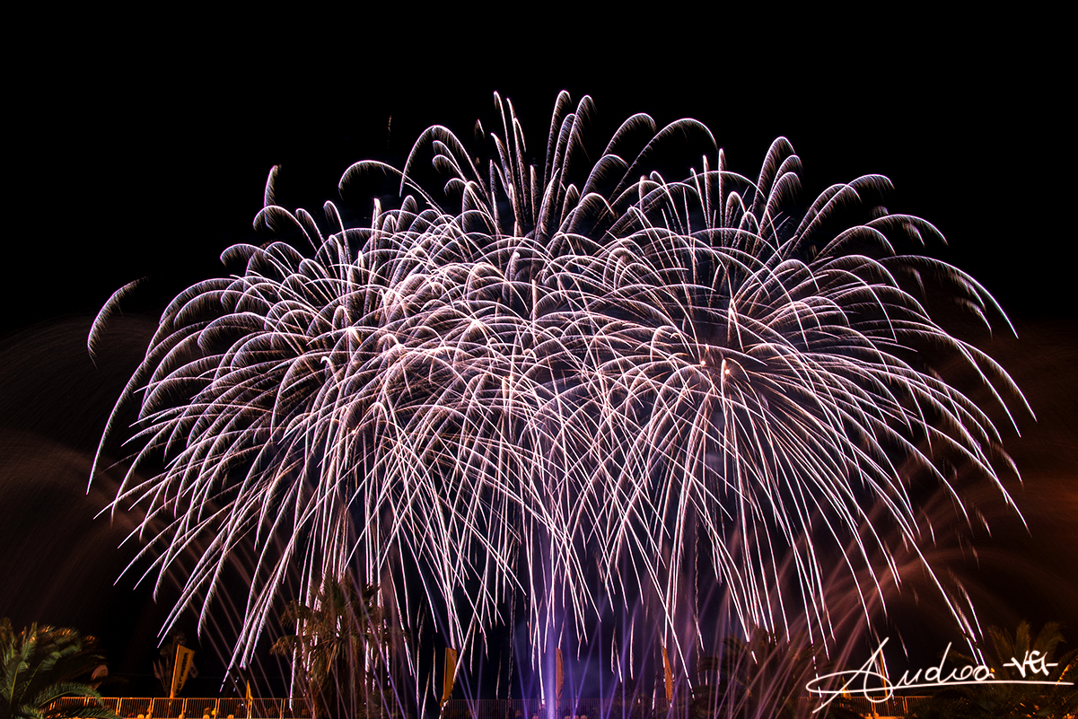 Divieto di fuochi d’artificio a Massarosa