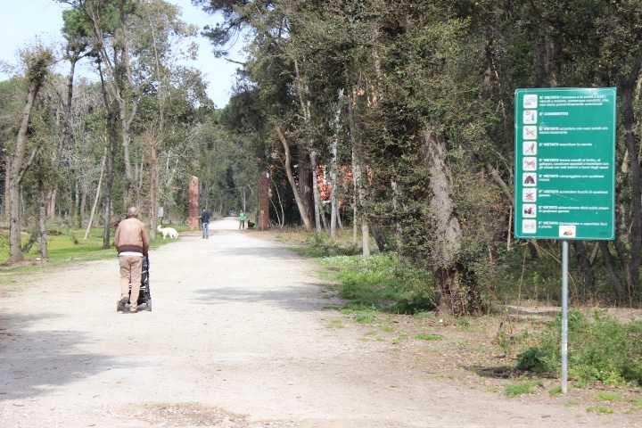 In bici in Versiliana. Visite guidate per i bambini delle colonie