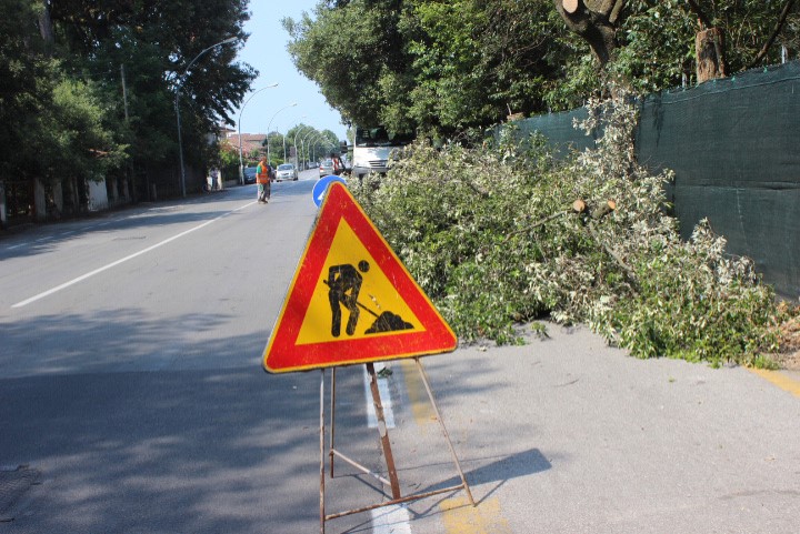 Vento forte, disagi nel pisano: 15 gli interventi dei vigili del fuoco