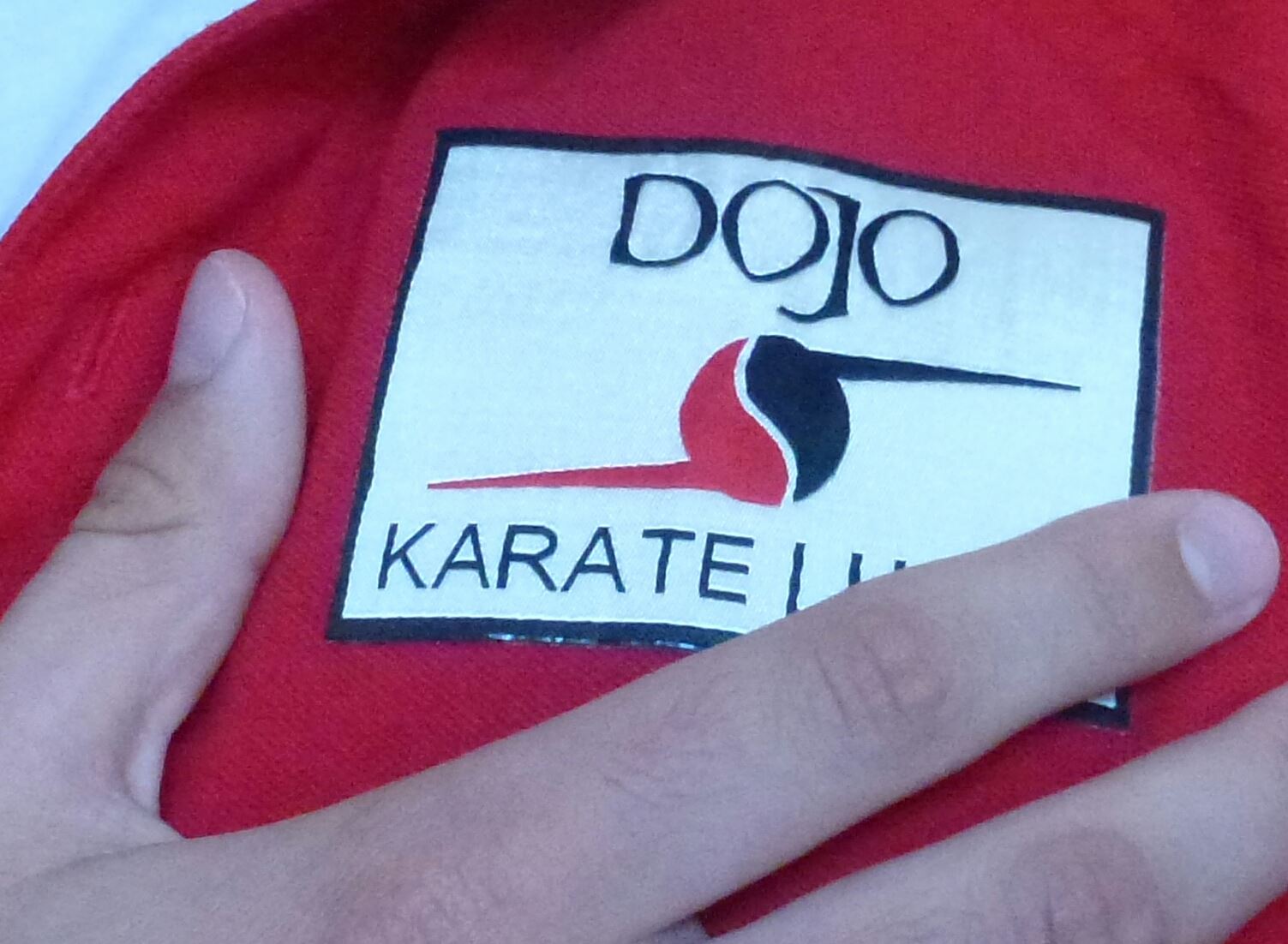 Bene il fortemarmino Giannotti all’Open d’Italia di karate