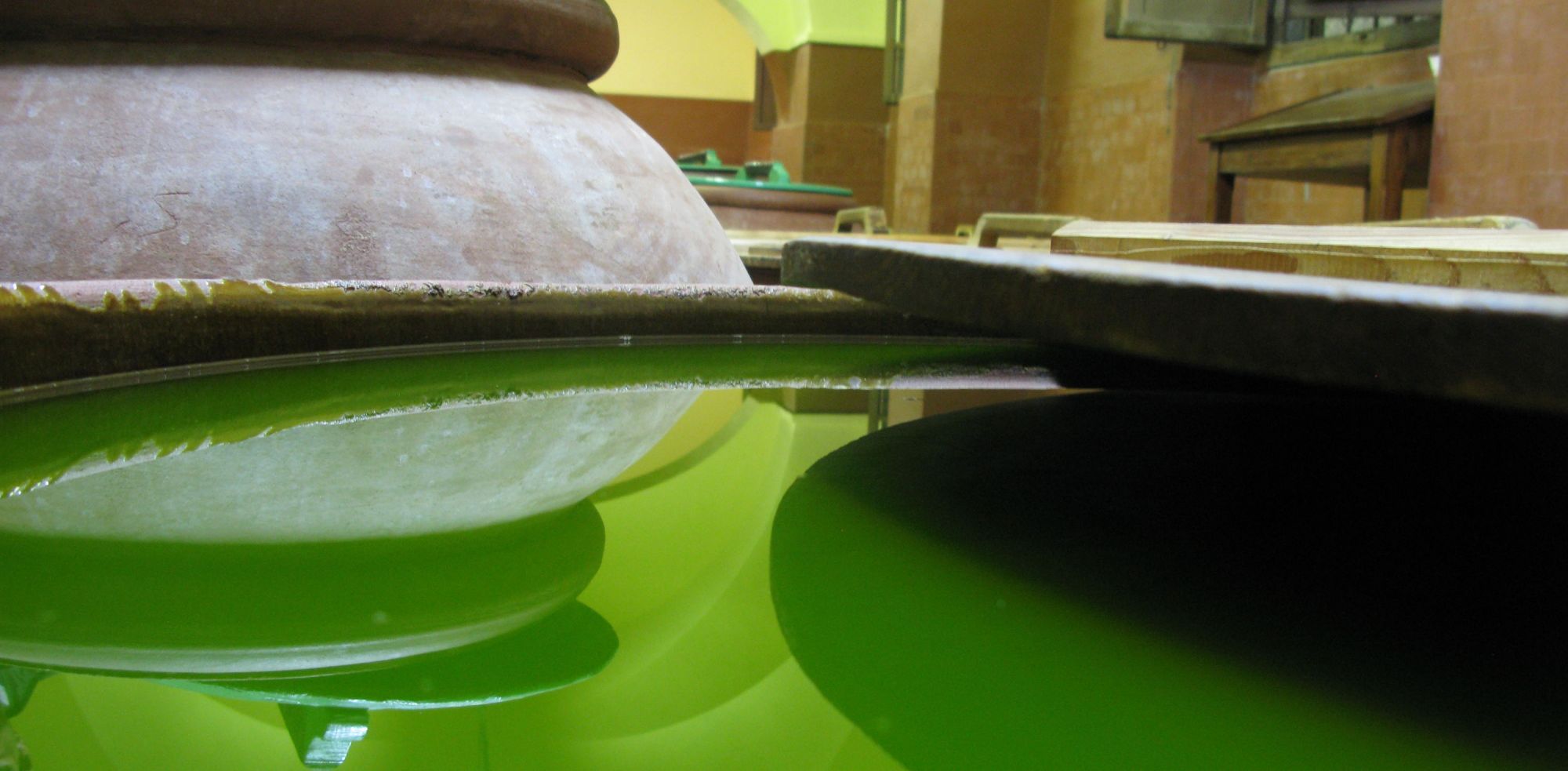Corso di olivicoltura, valorizzazione dell’olio extra vergine di oliva della Versilia