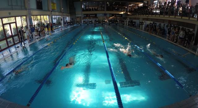 La piscina di Camaiore accoglie le associazioni viareggine