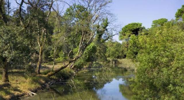 Gite a Massaciuccoli e a San Rossore per gli ospiti Mice del Principe di Piemonte